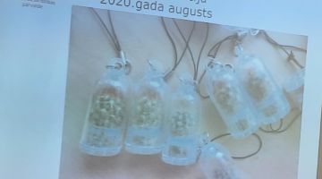 Kā nekļūt par savvaļas sugu kontrabandistu?   