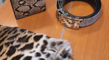 Kā nekļūt par savvaļas sugu kontrabandistu?   