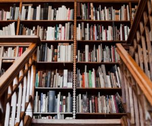 Bibliotēkzinātne