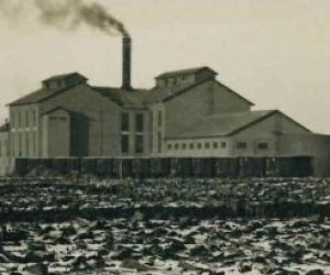 Kolekcijas par Jēkabpils cukurfabriku