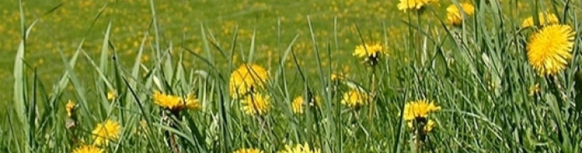 Tematisks/virtuāls izstāžu cikls: 4. Izstāde “Latviskā dzīvesziņa: Starp pavasara un vasaras saulgriežiem’’