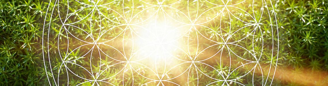 Tematisks/virtuāls izstāžu cikls: 5. izstāde” Latviskā dzīvesziņa: Dabas spēku enerģija’’