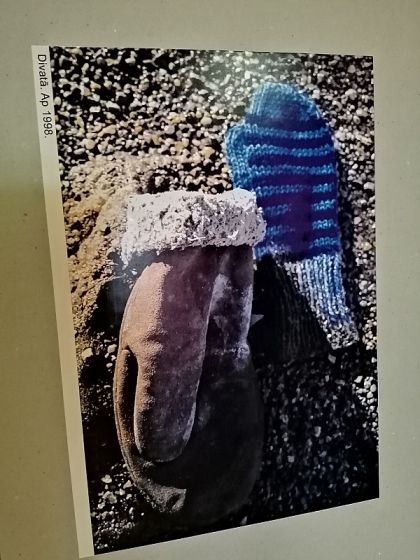 Zasas bibliotēkā izstāde “Inese Birstiņa. CIMDU foto”