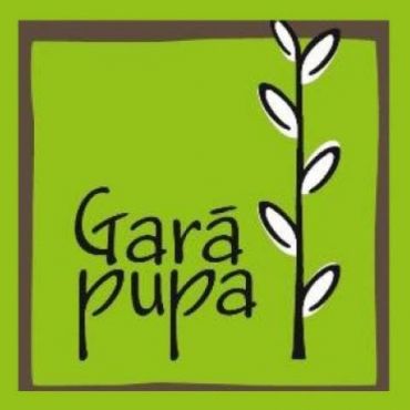 Izsludināts dzejas konkurss bērniem un pusaudžiem “Garā pupa 2020”