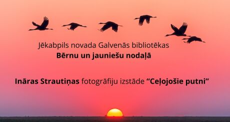Fotogrāfiju izstāde “Ceļojošie putni” 