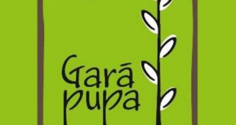 Izsludināts dzejas konkurss bērniem un pusaudžiem “Garā pupa 2020”